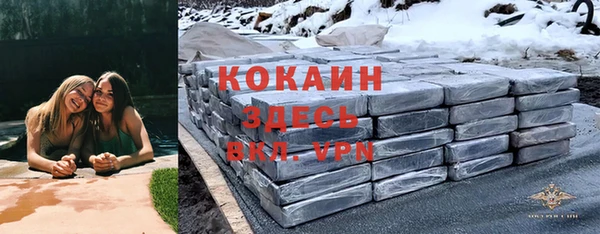 молекула духа Алзамай